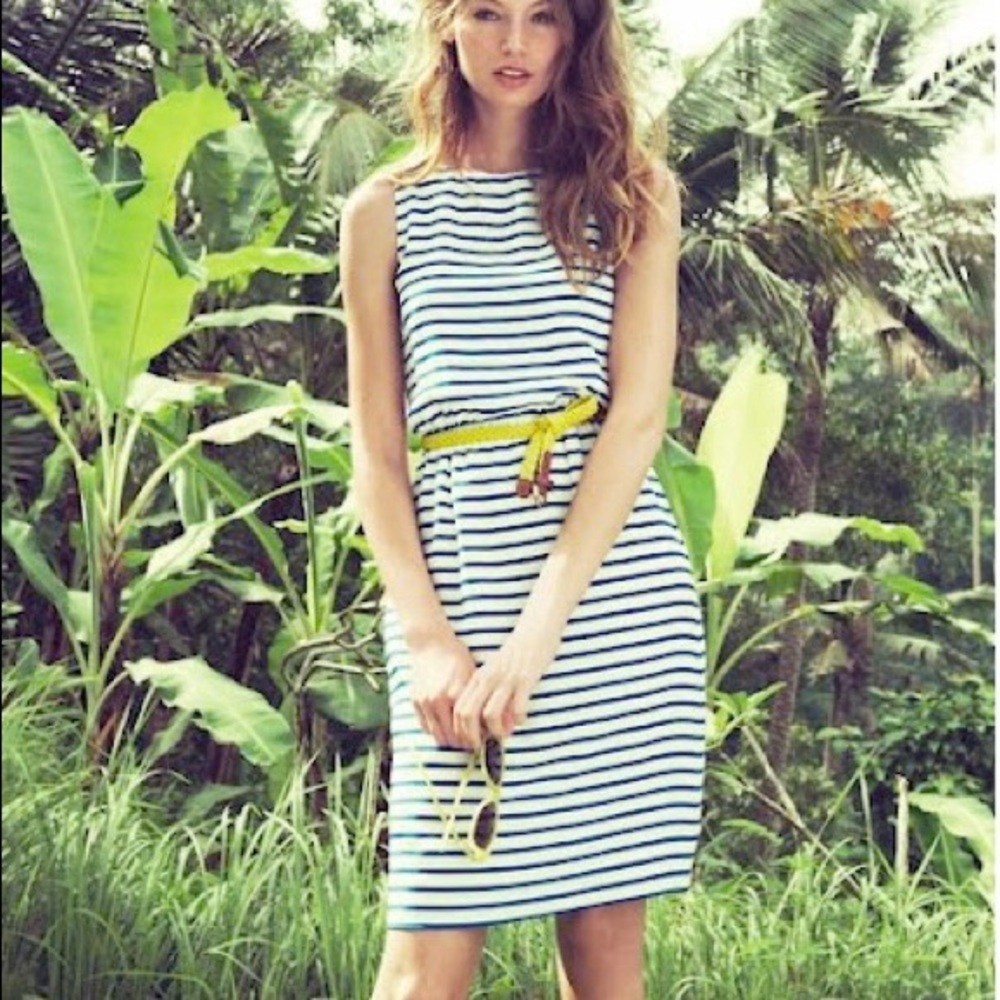 J. Crew Silk Nautical Dress